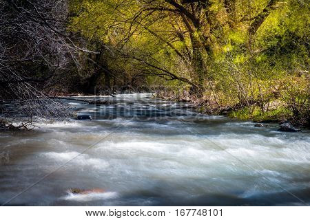 Landscape of a rushing river in a forest.