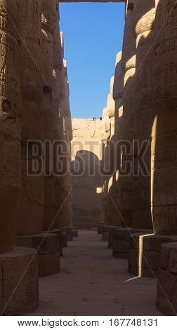 Columns and in ancient temple of Egypt