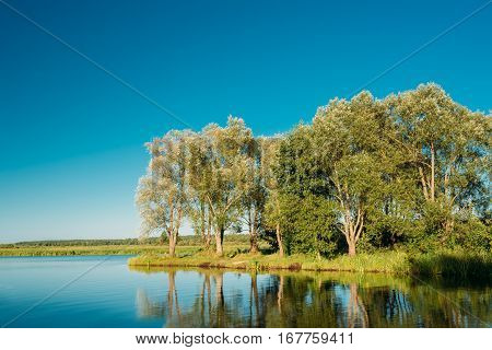 Island In Middle Of River With Growing Forest In Summer Or Spring Season. Sunny Clear Blue Sky. Typical Nature Of Belarus And Western European Part Russia.
