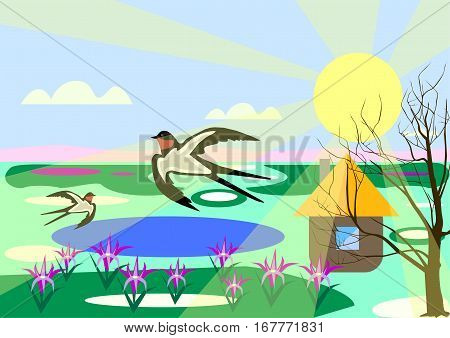 Spring landscape, the sun is shining, there are the first flowers