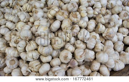 White garlic pile on market display. Fresh white garlic for sale. Autumn harvest in garden. Vegetable background or wallpaper. Raw cooking ingredient for soup or meat. Tasty spice. Healthy vegetable