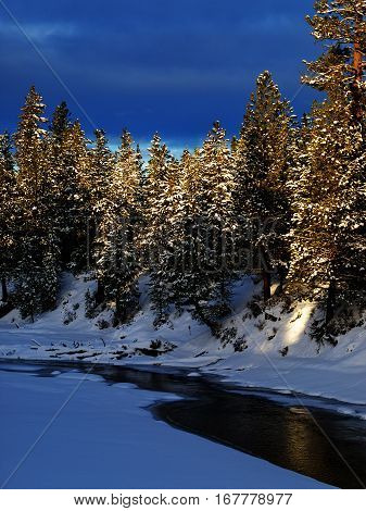 The Deschutes River in Central Oregon in the evening mostly frozen over and covered in snow with tall ponderosa pine trees on the banks illuminated by the setting sun.