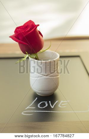 One Red Rose in a cup for Mother's Day or Valentine's as a loving gift