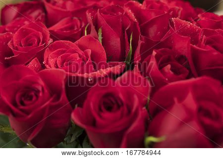 Bouquet of Red Roses for Mother's Day or Valentine's as a loving gift