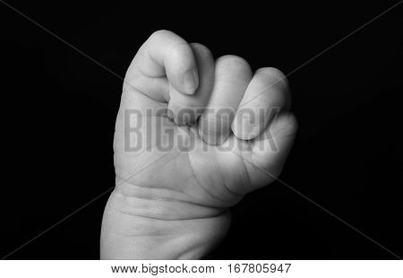 One hand the newborn, close up, black and white
