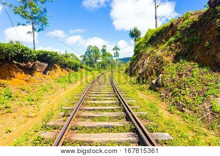 Haputale Hill Country Train Tracks Centered H