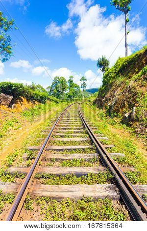 Haputale Hill Country Train Tracks Centered V