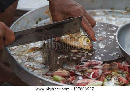 Preparing a fish fillet in Thailand market