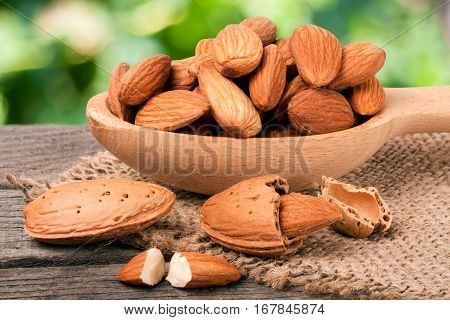 heap of peeled almonds on a wooden table with blurred garden background.