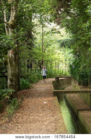 MADEIRA, PORTUGAL - SEPTEMBER 5, 2016: Levada do Norte near Boca da Encumeada on Madeira Island. Portugal