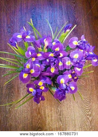 Beautiful purple and yellow iris flower pattern on a wooden brown background.