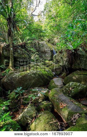 Waterfall In Nosy Mangabe, Madagascar Wilderness