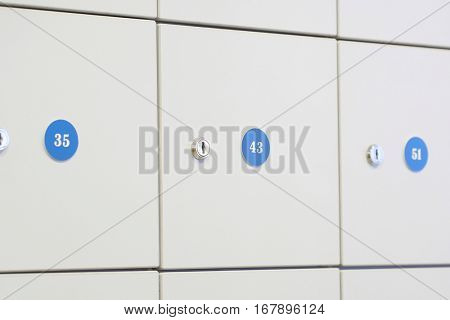 Locker room in fitness club 
