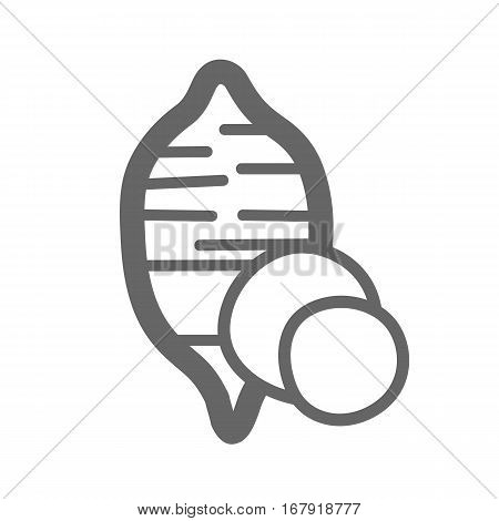Sweet potato outline icon. Batata. Vegetable vector illustration