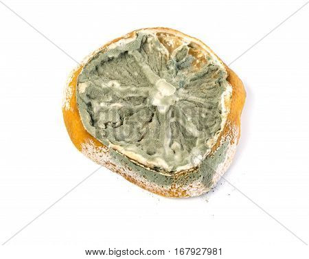 Rotten moldy and decomposing organic lemon isolated on white background