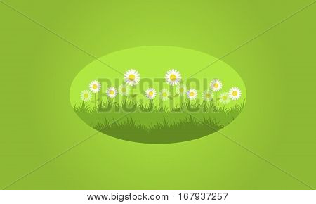 Background of flower spring vector collection stock