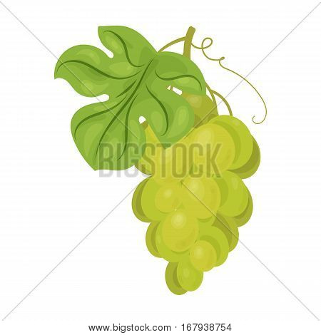 Bunch of yellow grapes icon in cartoon design isolated on white background. Wine production symbol stock vector illustration.