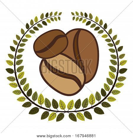 crown of leaves with coffee beans in different sizes vector illustration