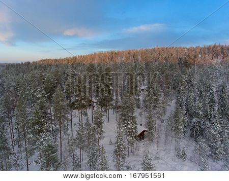 Aerial view of winter snowscape and forest