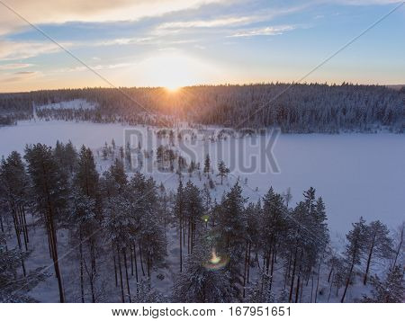 Aerial view of winter snowscape and forest