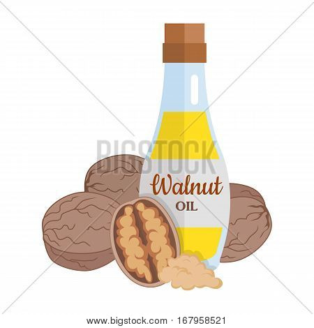 Walnut kernels with walnut oil. Ripe walnut in flat. Walnut butter in glass bottle. Several brown walnut kernels. Healthy vegetarian food. Vector illustration