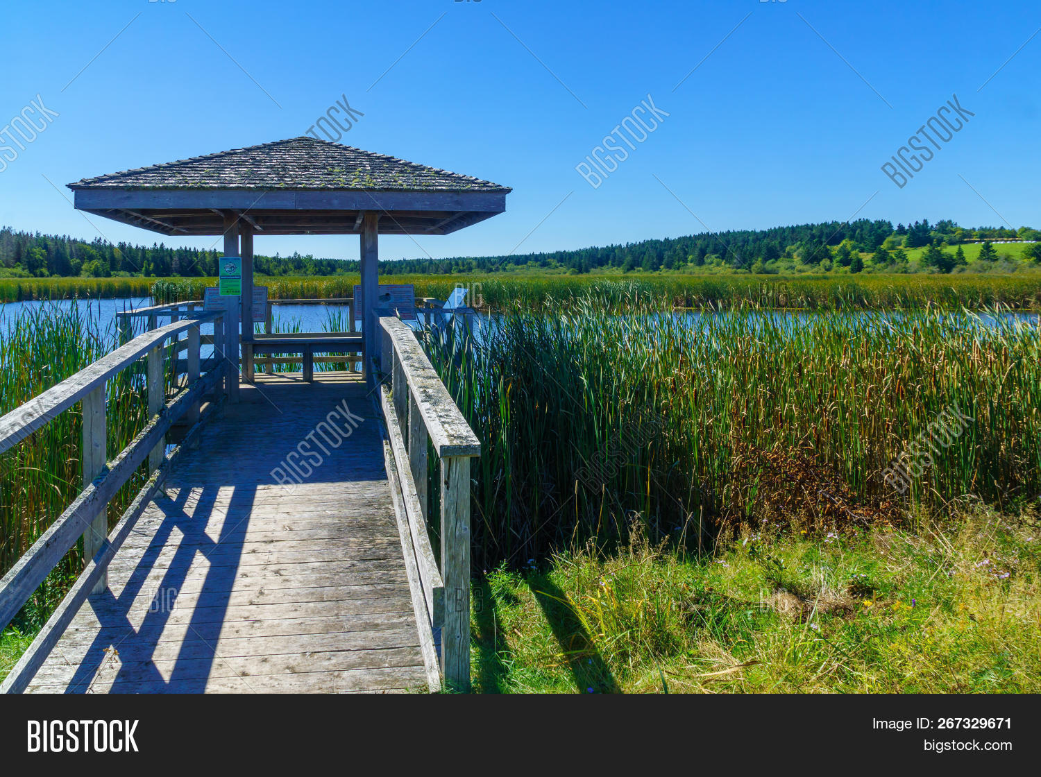 Harvey, Canada Image & Photo (Free Trial) Bigstock
