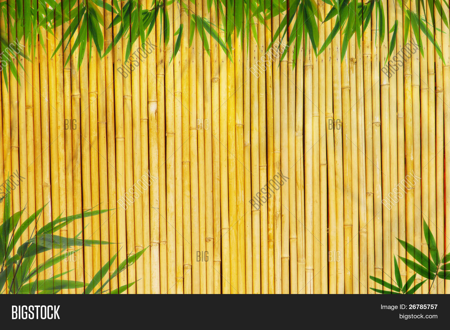 Light Golden Bamboo Image & Photo (Free Trial) Bigstock