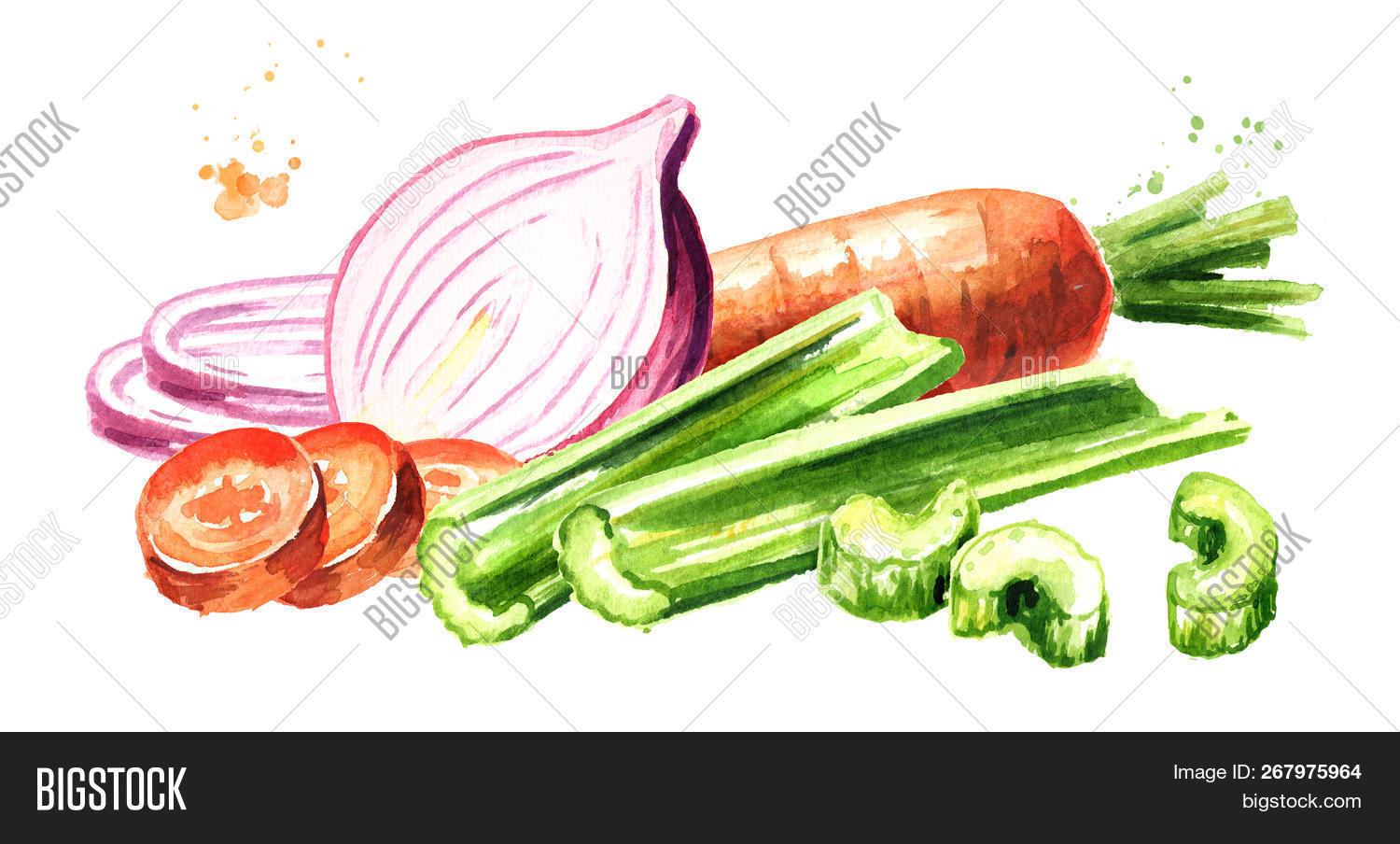 Onions, Celery Carrots Image & Photo (Free Trial) Bigstock