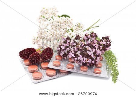 Medicina erval