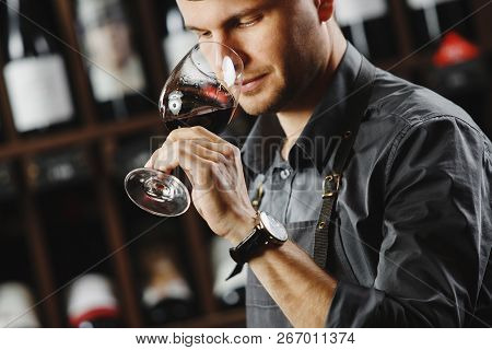 Bokal Of Red Wine On Background, Male Sommelier Appreciating Drink