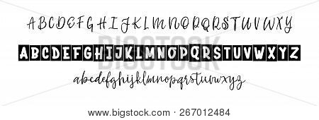Two Font Script And Bold. Vector Hand Drawn Typeface. Brush Painted Letters. Handmade Alphabet For Y