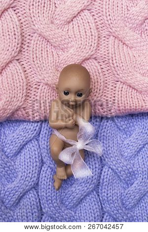 Boy Or Girl, Baby Shower Ideas For A Girl And Boy Party. Pink And Blue Decorative Backet, Copy Space