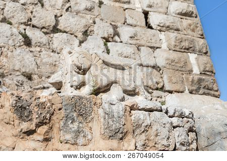 Bas-relief of a lion extruded on a stone in the courtyard of Nimrod Fortress located in Upper Galile