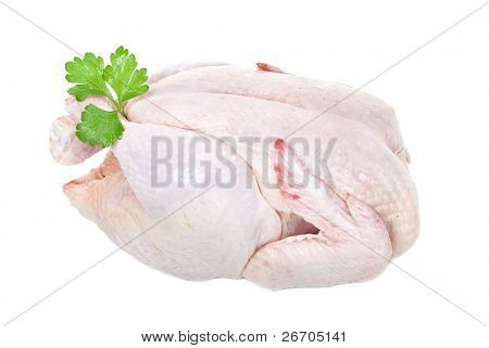 Carne di pollo cruda