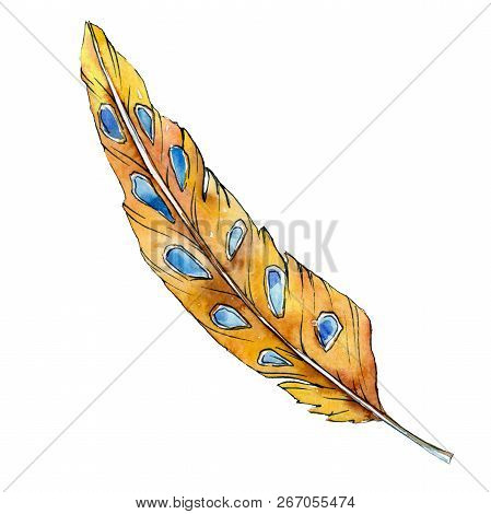 Yellow Feater. Watercolor Bird Feather From Wing Isolated. Aquarelle Feather For Texture. Background