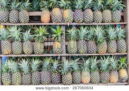 Rows Of Pineapples On A Market In Juayua, El Salvador