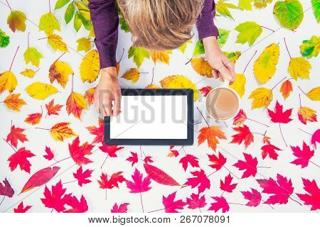 Autumn Composition: Workspace With Hands On Digitall Tablet With Blank Screen And Cup Of Coffee On F