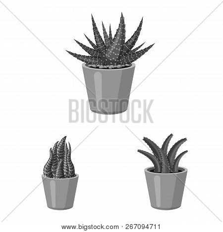 Vector Illustration Of Cactus And Pot Icon. Set Of Cactus And Cacti Vector Icon For Stock.
