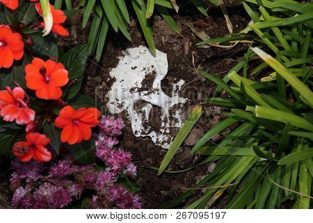 Crime Scene. Human Skull buried in dirt in a crime scene.