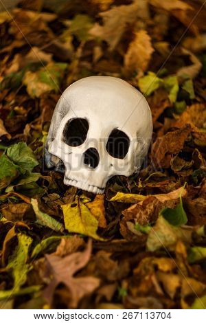 Scary Jawless Halloween Skull In Autumn Fallen Leaves