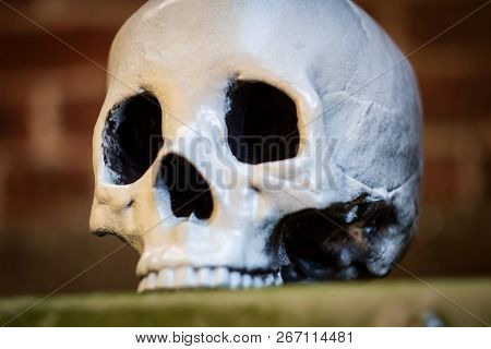 Scary Jawless Halloween Skull With Brick Wall Background