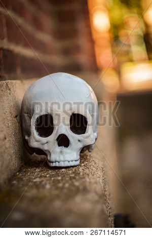 Scary Jawless Halloween Skull On Brick Wall With Shallow Focus