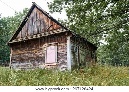 old wooden house in the forest