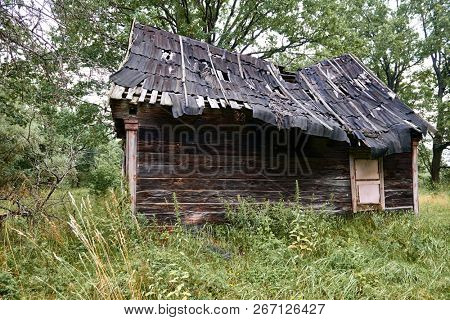 old wooden house in the forest