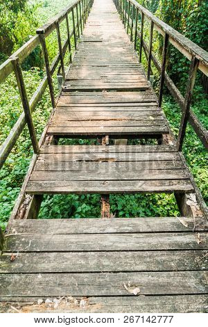 Damaged Boardwalk In Eco-archaeological Park Los Naranjos, Honduras