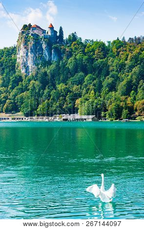 Vertical View Of Bled Castle Built On A Precipice Overlooking Lake Bled Where A Swan Is Swimming, Up