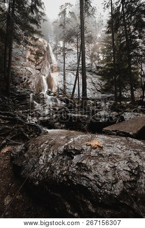 Waterfall In Forest Landscape Long Exposure Flowing Through Trees And Over Rocks