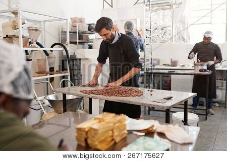 Working Sorting Through Cocoa Beans On A Factory Table