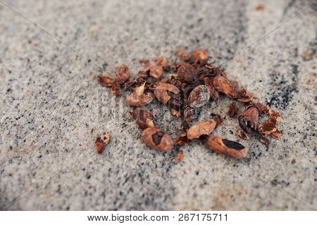 Cocoa Beans And Nibs On A Chocolate Making Factory Table