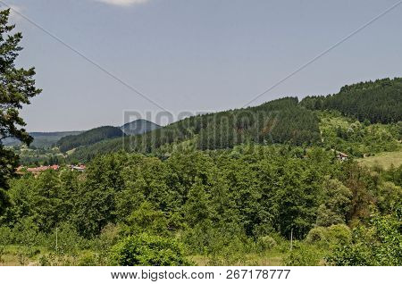 Summer Green Forest, Glade, Valley And Residential District In The Lozen Mountain Near To Pasarel Vi
